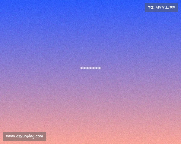 上海合燊国际货运代理有限公司